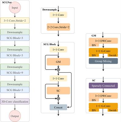 SCGNet: efficient sparsely connected group convolution network for wheat grains classification